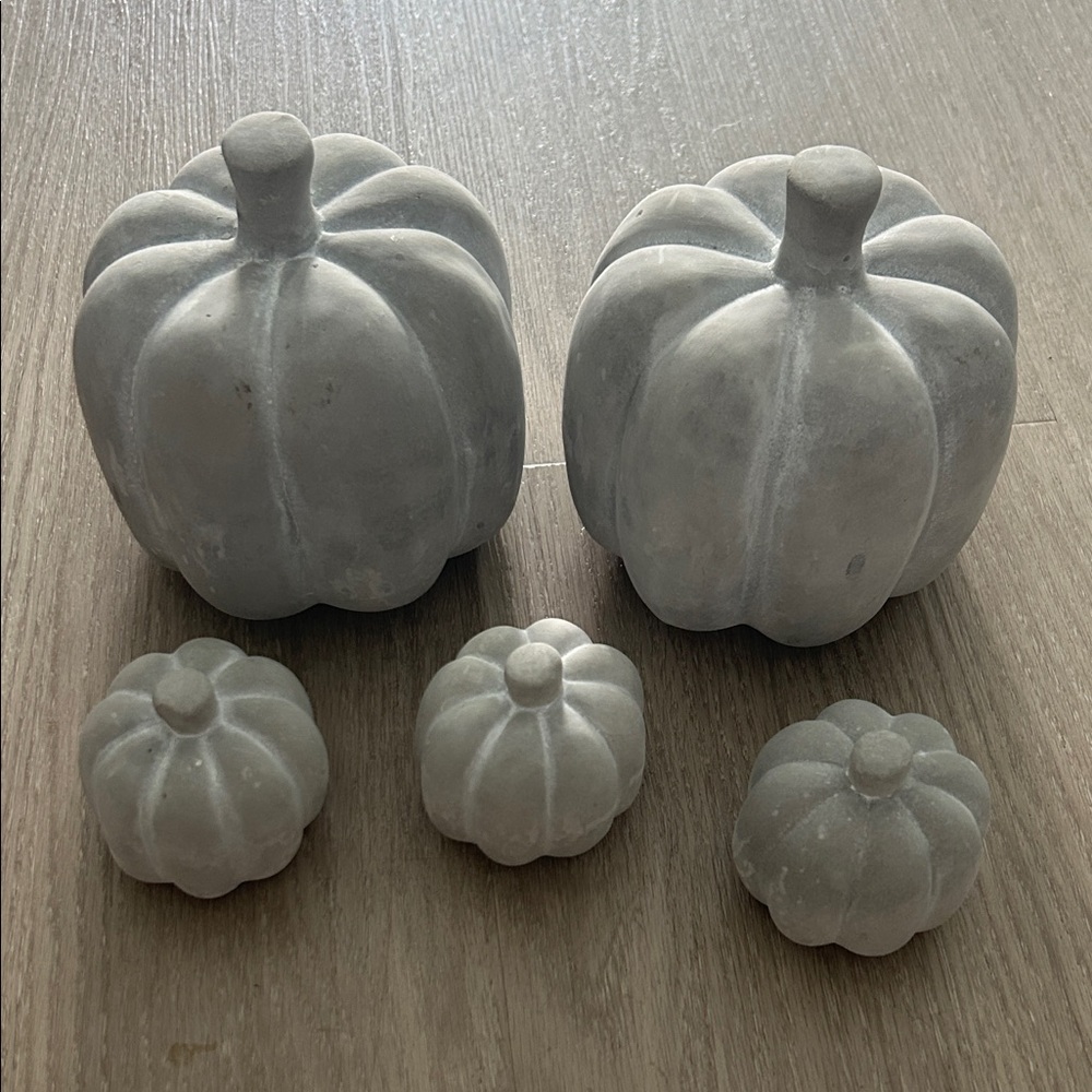 Gray Cement Pumpkin Decor Set of 5